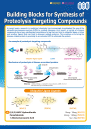 Building Blocks for Synthesis of Proteolysis Targeting Compounds